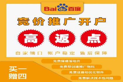 百度竞价广告投放案例解析